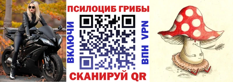 Купить закладки  Уварово  Псилоцибиновые грибы мухоморы 